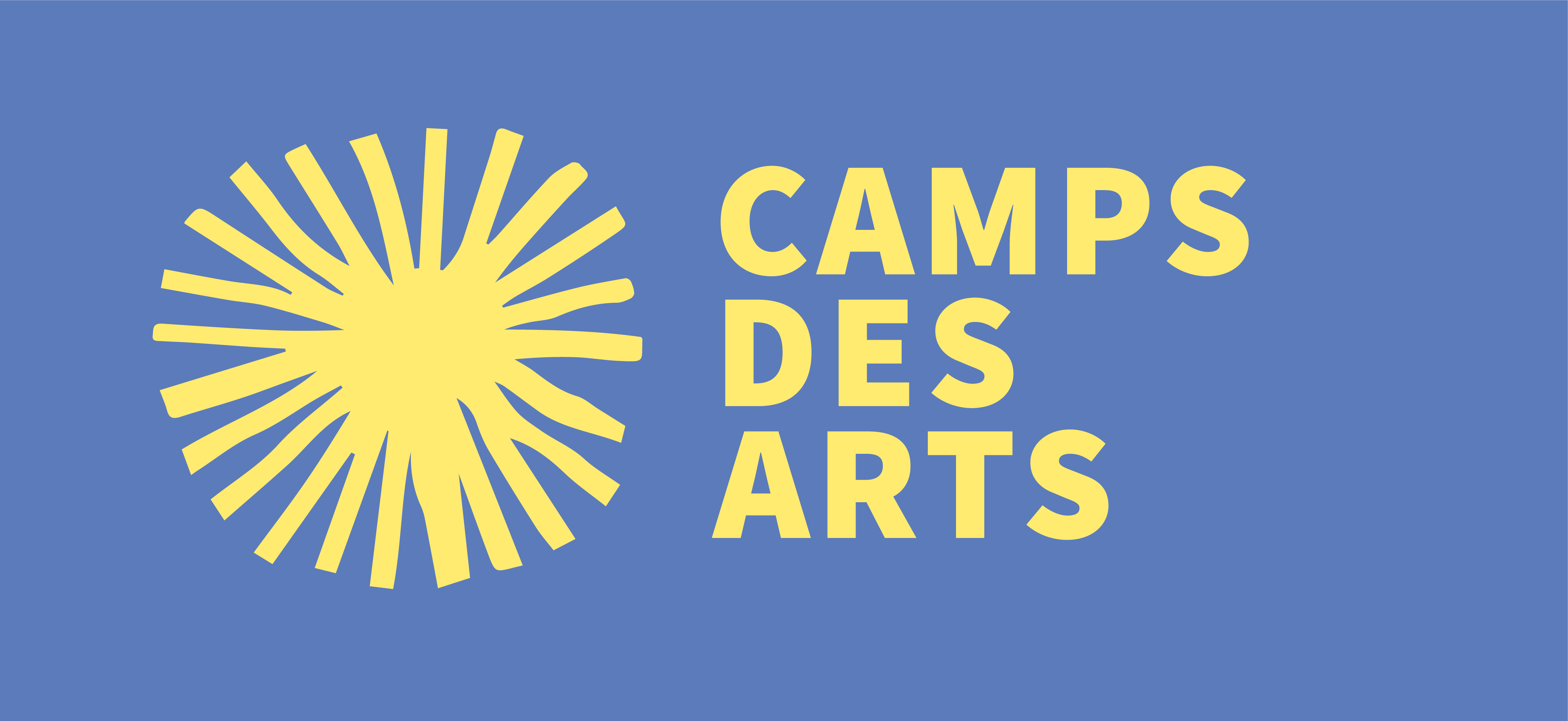 Camps des arts_full