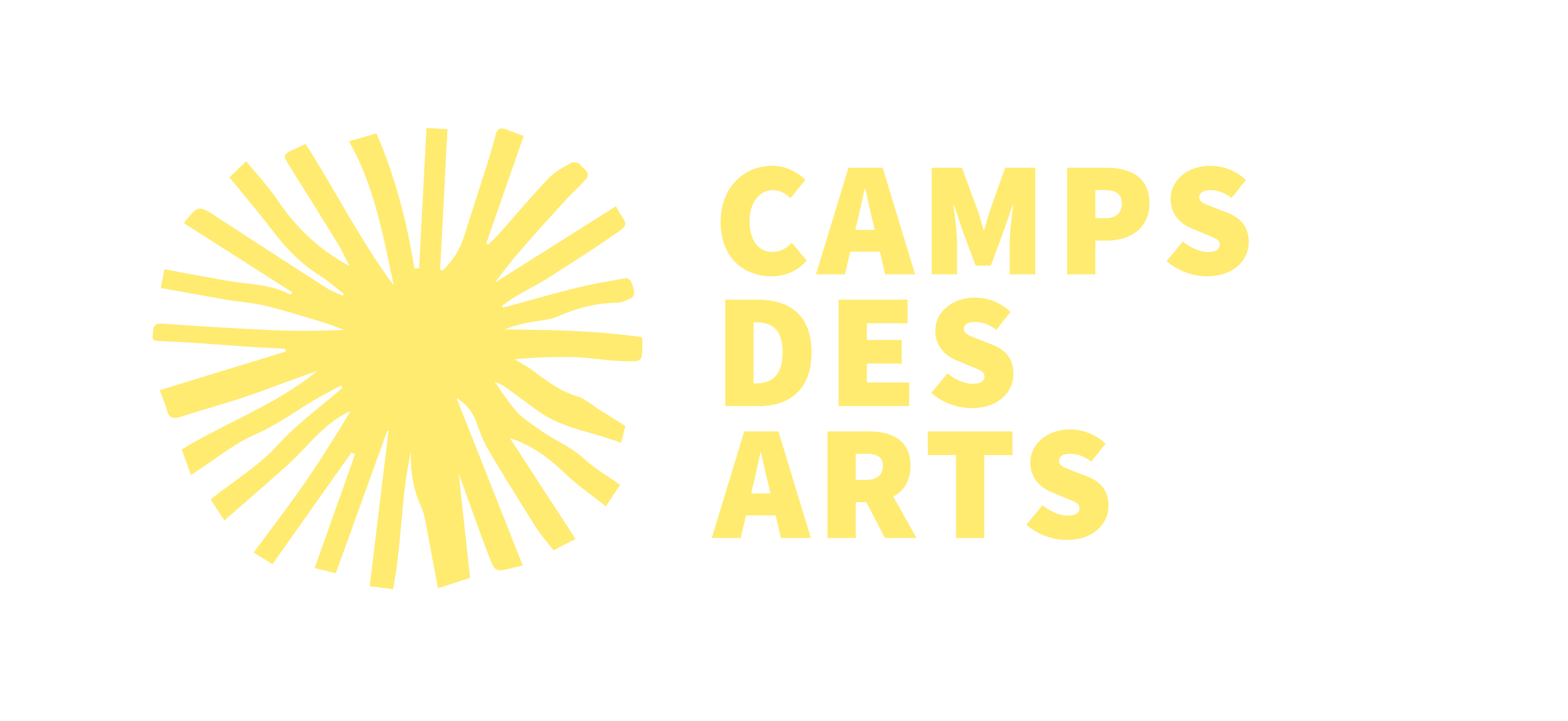 Camps des arts_transparent