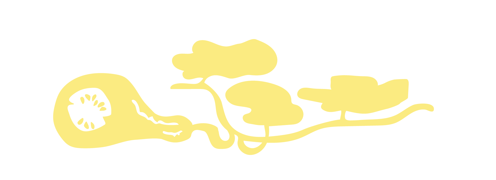 botanical_eng_1920x700px