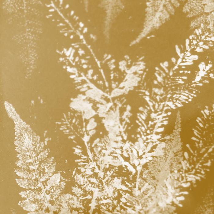 2025_MASTER_vivace_veronik700x700
